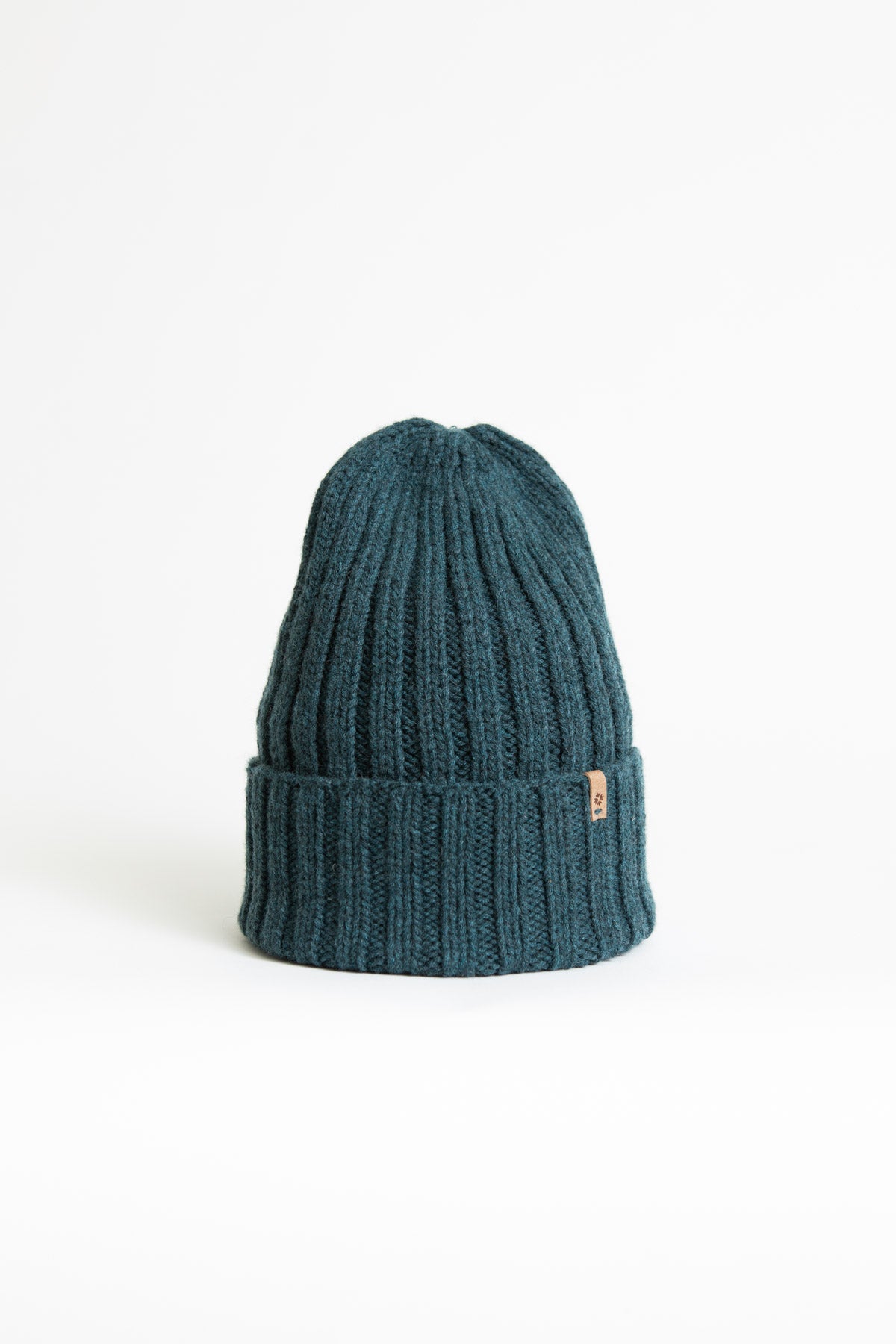 Dinadi Merino Thick Rib Hat in Dragonfly Green
