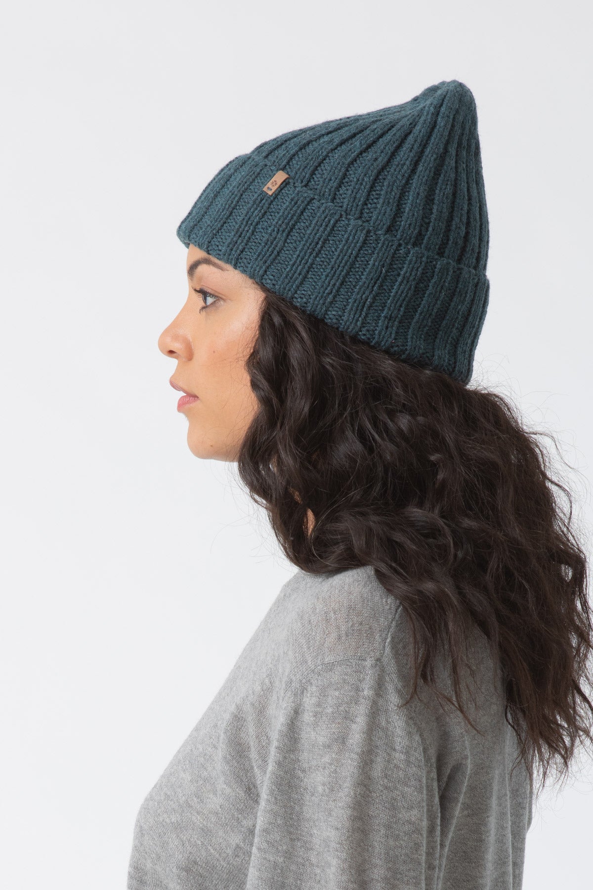 Dinadi Merino Thick Rib Hat in Dragonfly Green