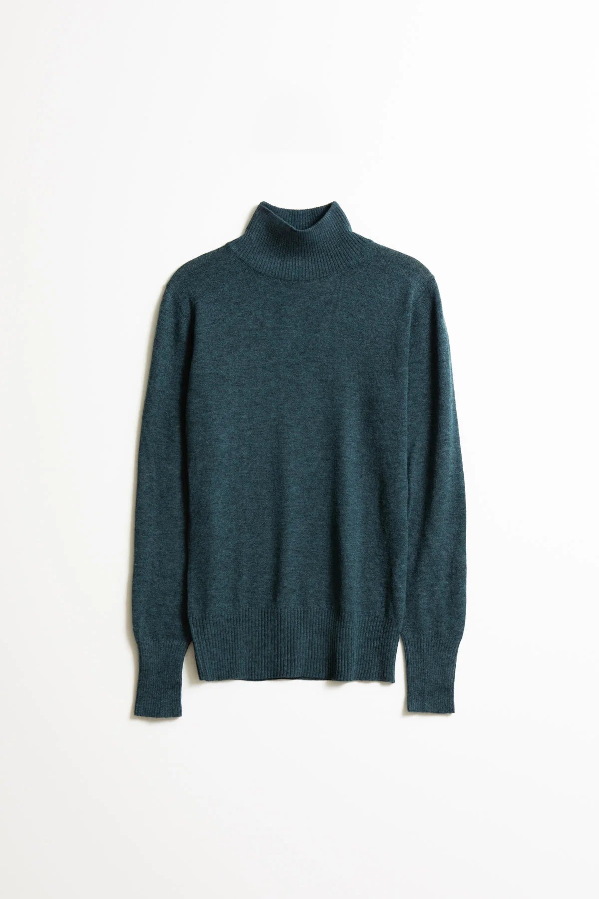 Dinadi - FW24 - Merino Turtleneck in Dragonfly - on display front 6