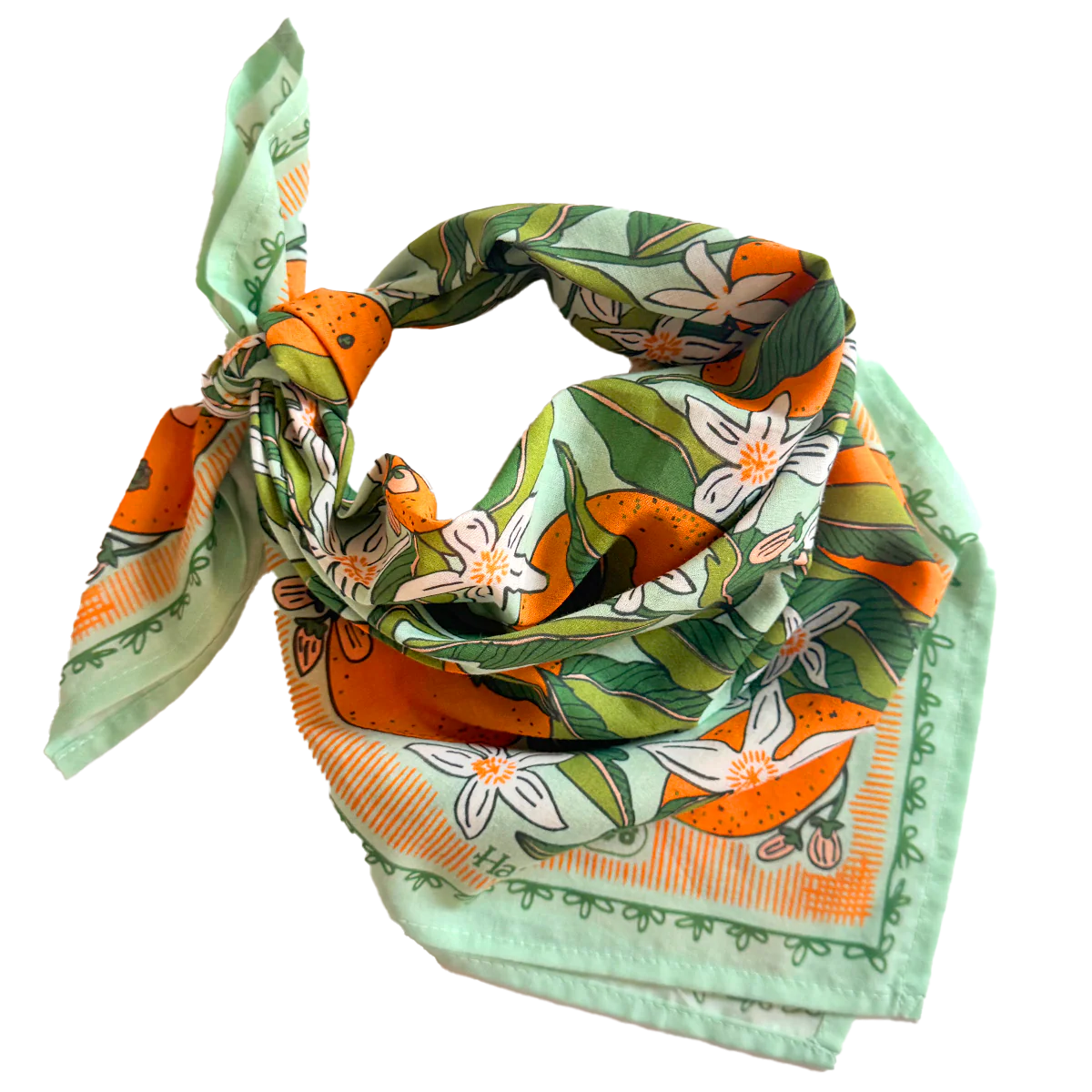 Handker Bandanas No. 146 Zoe bandana tied