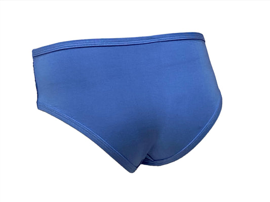 SS24 - Mary Young -  Moana Hip Bikini in Cornflower  - back on mannequin 2
