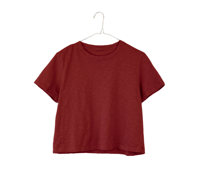 SS25 - It is Well L.A - Crop Tee in Mahogany - front display 1 