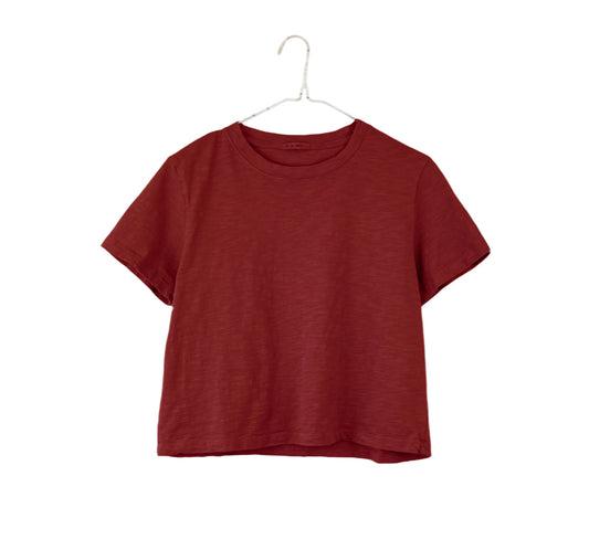 SS25 - It is Well L.A - Crop Tee in Mahogany - front display 1 
