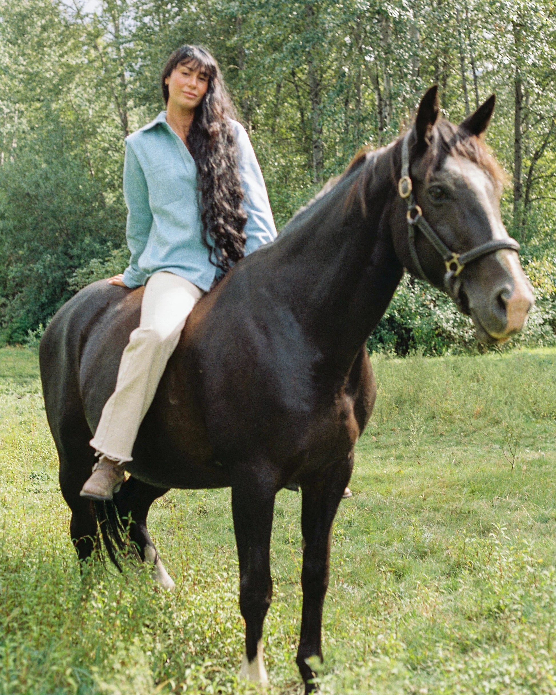 MODEL ON  DARK HORSE WEARS LIGHT BLUE DENIM SHIRT WITH HAIR DOWN IN A GREEN MEADOW AGAINST A TREELINE.