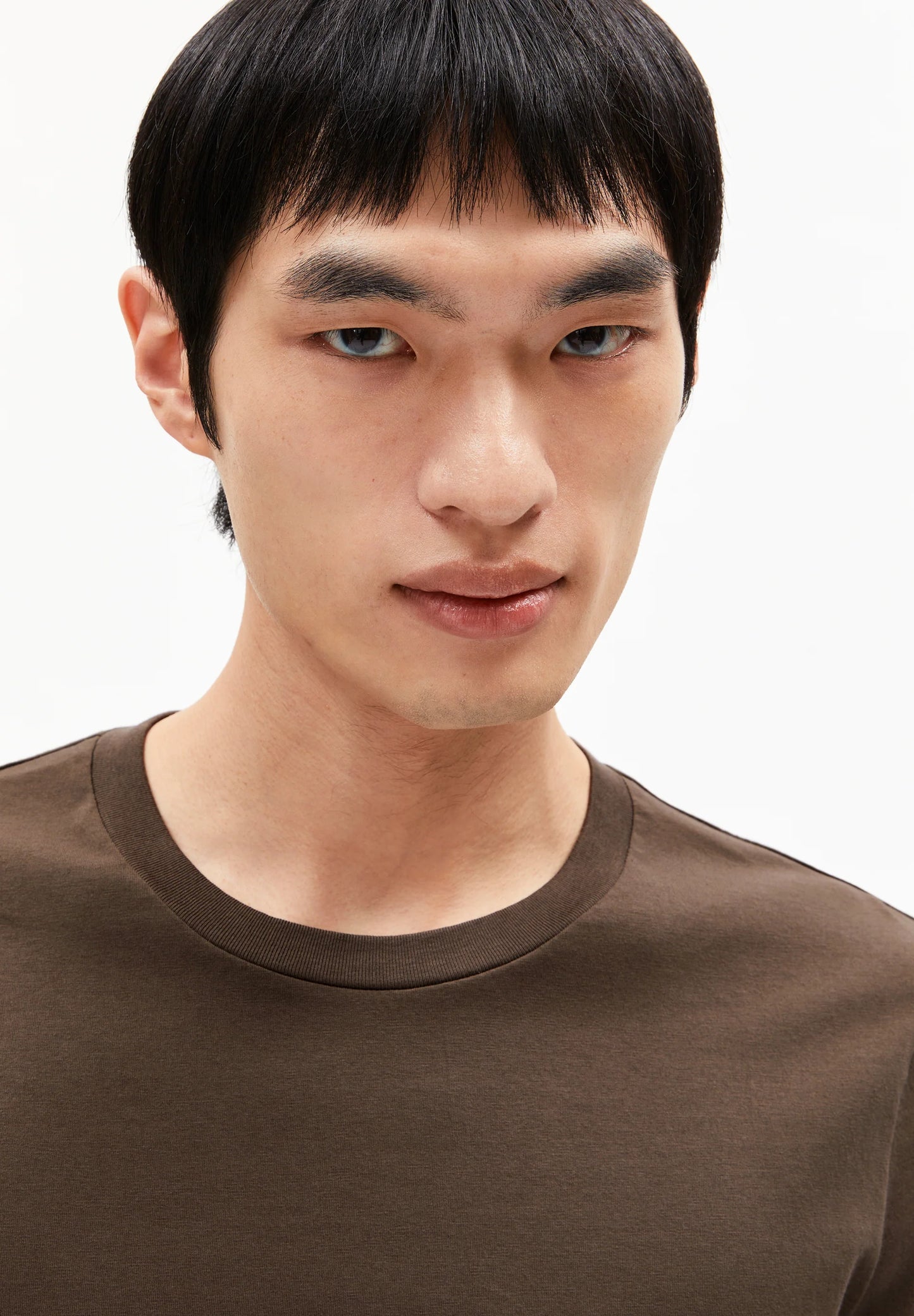 Men's ARMEDANGELS brown t-shirt with a classic fit and soft organic cotton fabric in Kelowna