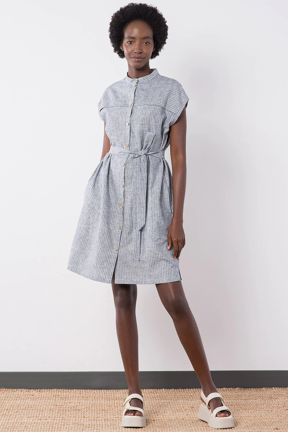 Wren Dress In Denim Stripe